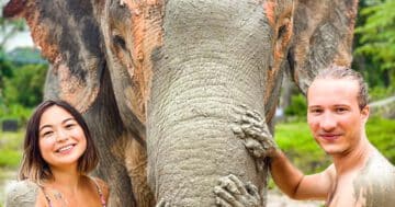 Phuket Elephant trip