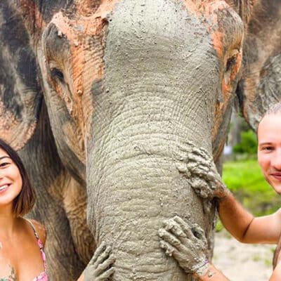 Phuket Elephant trip