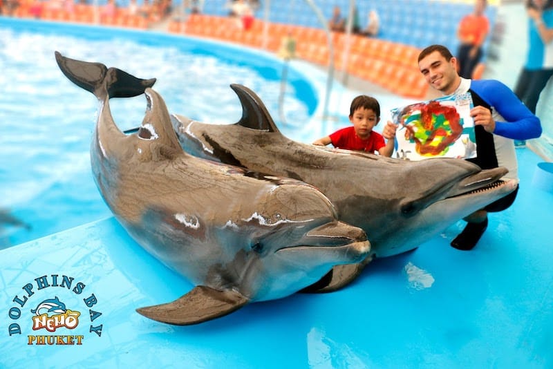 Price Dolphins Bay Show Phuket