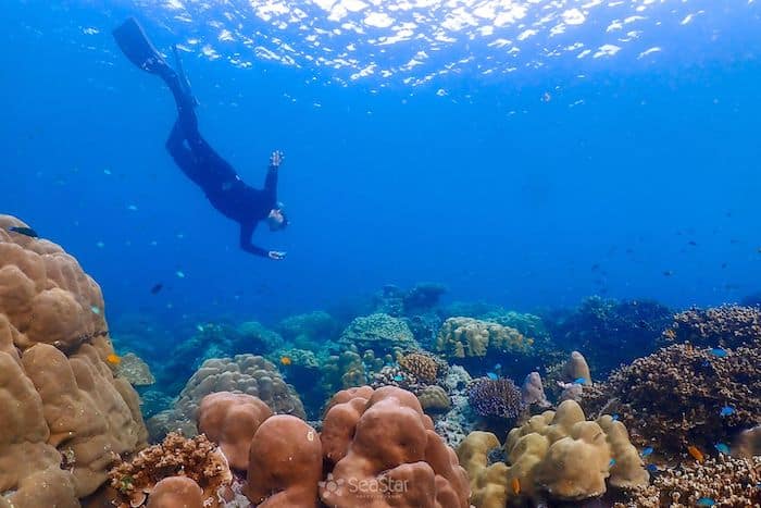 Dive Deep Underwater Surin Island