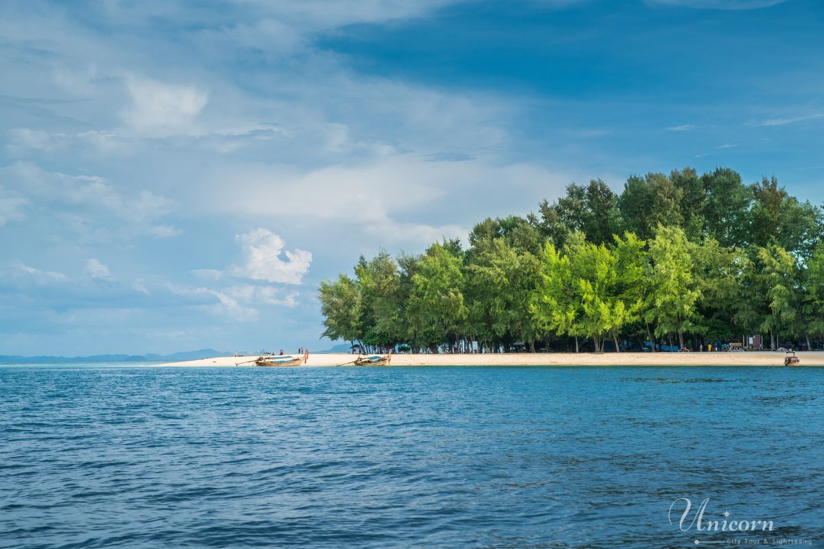 bamboo island