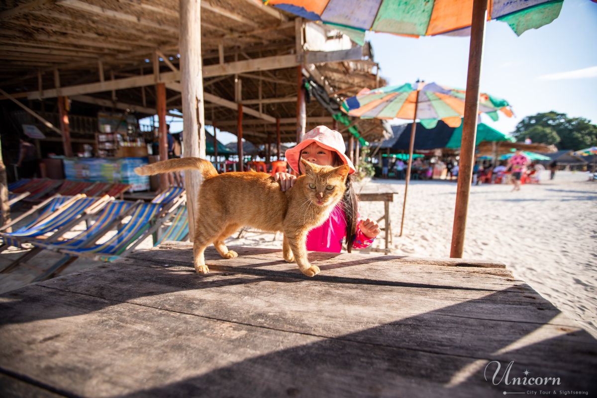 child with cat