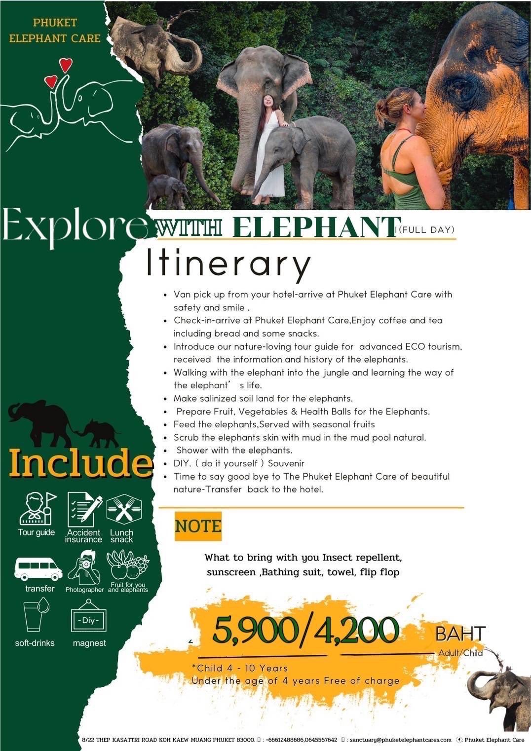 Elephant phuket program