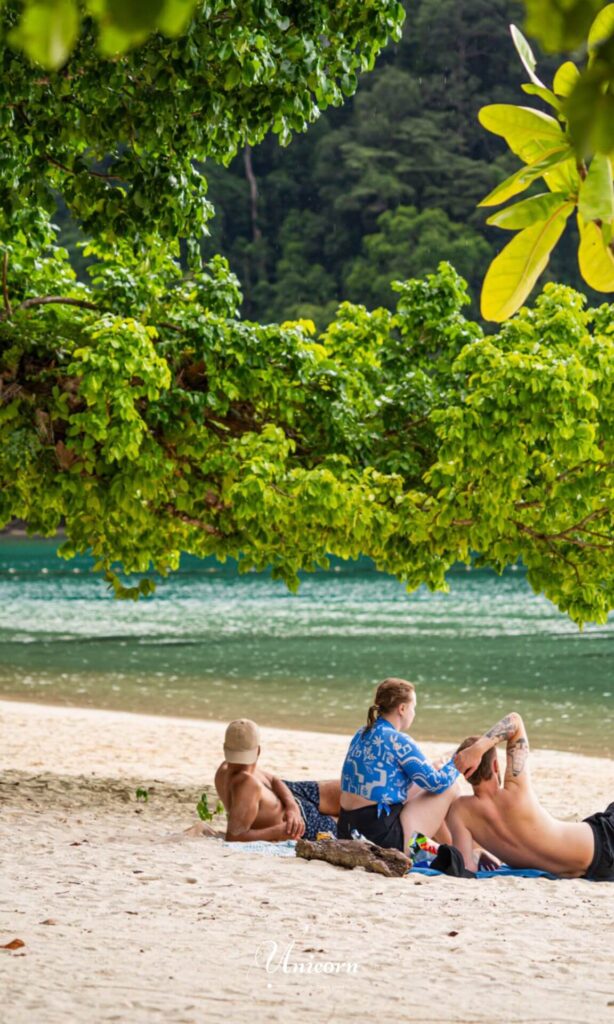 Tropical Beach View