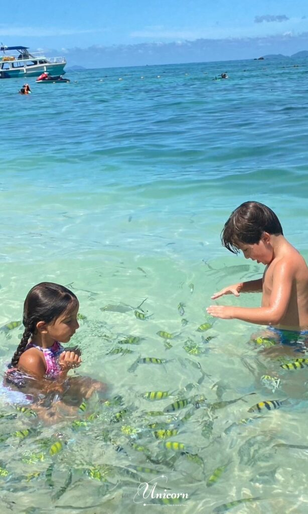 Fish on the Khai island