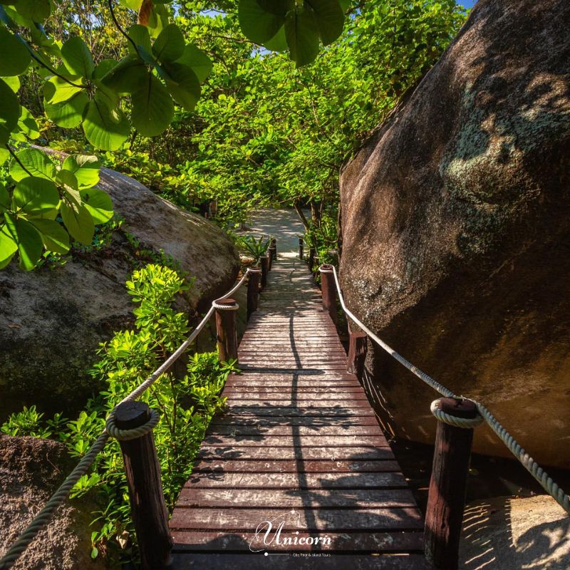 similan viewpoint