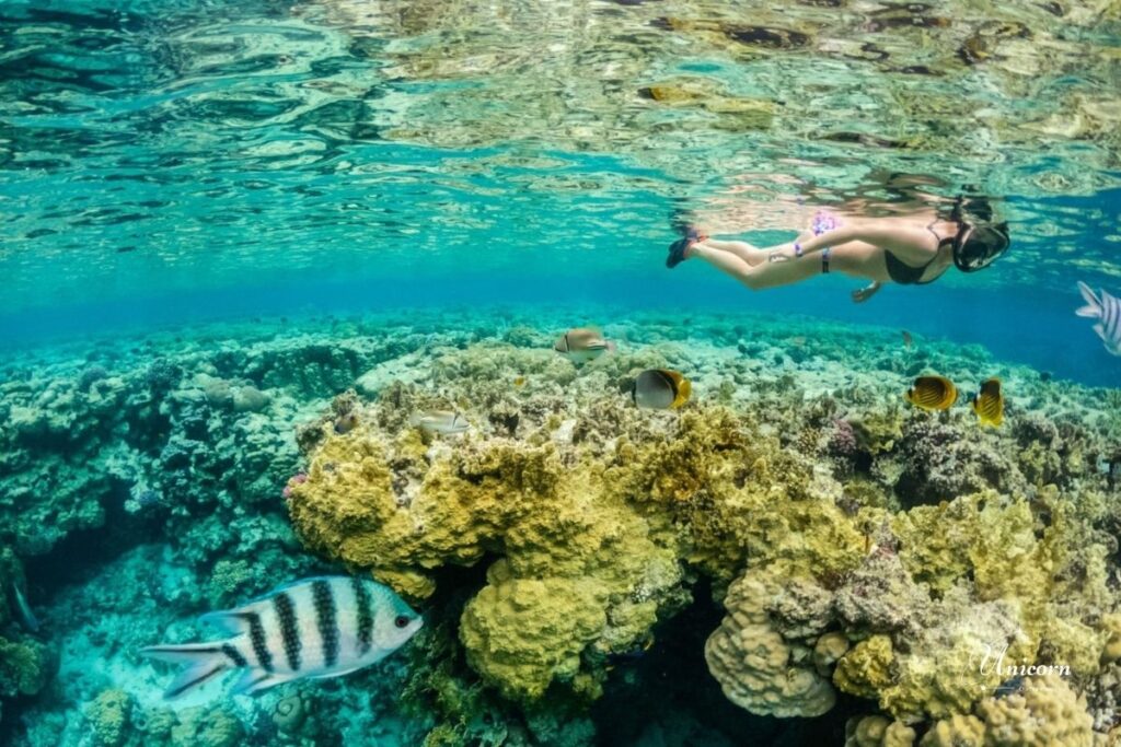 Racha Islands – Phuket’s Hidden Paradise in the Andaman Sea 6 Coral reef snorkeling at Racha Island Phuket