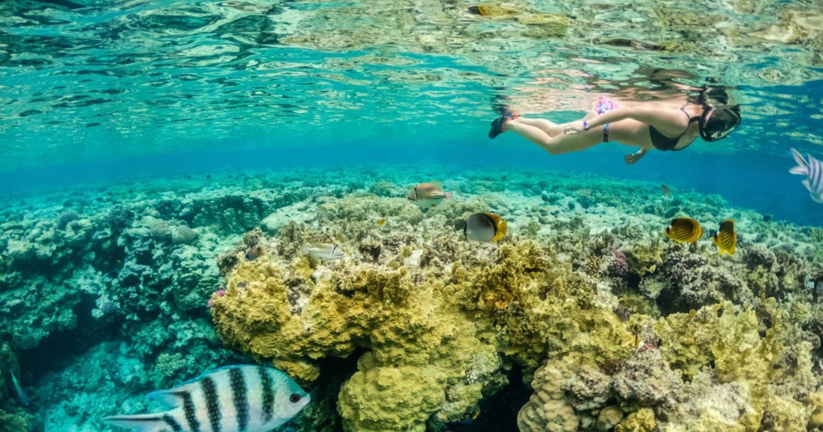 Racha Islands guide with travel tips, snorkeling, and beach highlights in Phuket