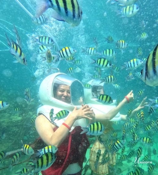 Racha Island & Coral Island Full Day Tour by Speedboat – Snorkeling & Buffet Lunch 18 Sea walking activity surrounded by tropical fish at Coral Island