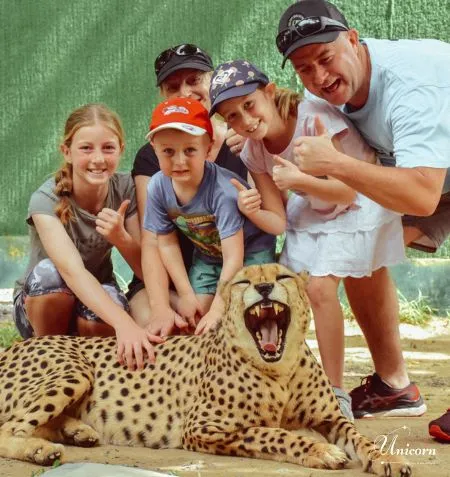 Smiling family posing with a playful baby tiger at a Phuket wildlife park