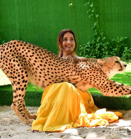 Woman in yellow dress with playful cheetah at Tiger Phuket
